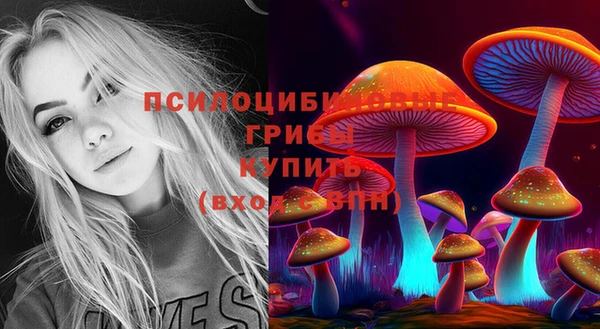 молекула духа Алексин