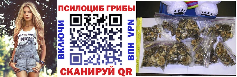 цена   блэк спрут зеркало  Псилоцибиновые грибы MAGIC MUSHROOMS  Амурск 
